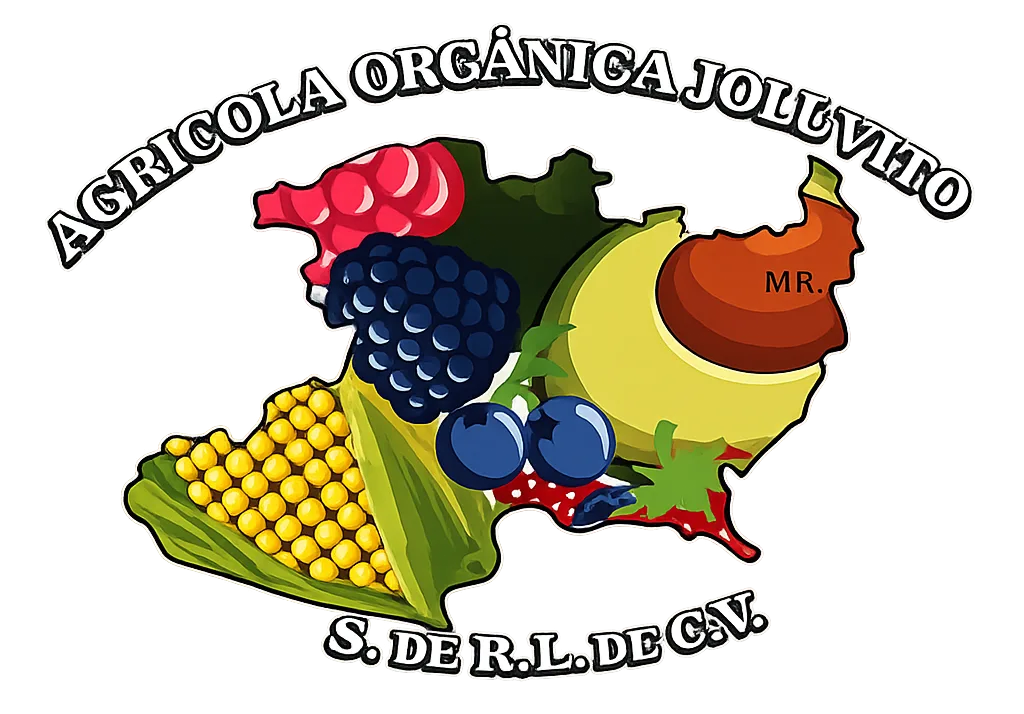 logo-joluvito